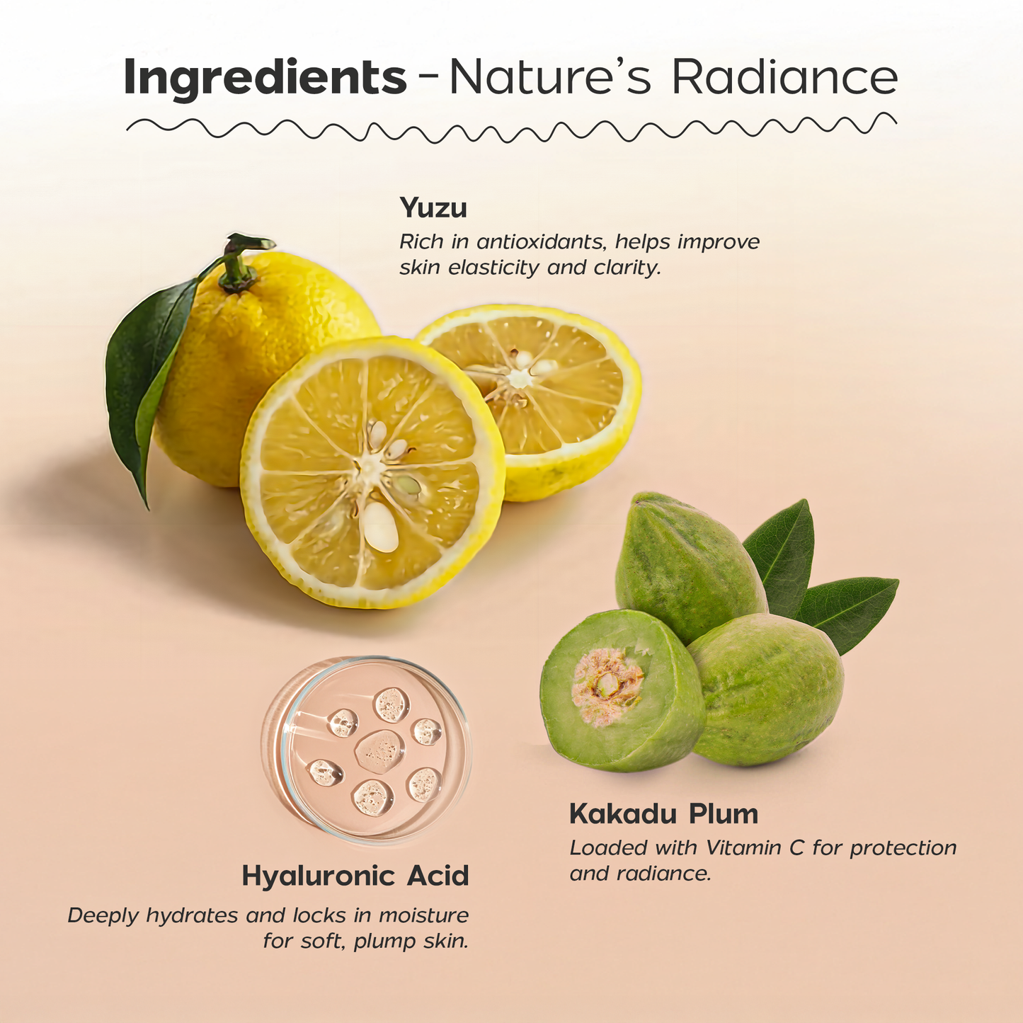 Ingrediants Vitamin C Face Serum
